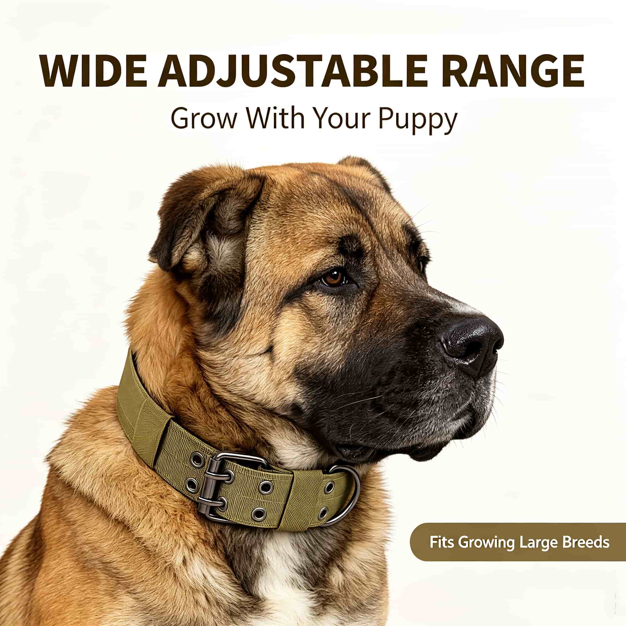 Outdoor Hunting Dog Collar - 迷彩柄タクティカルドッグカラー、頑丈なナイロン製、調節可能なDリング付きペット用ネックカラー、大型犬用、アウトドア、ハンティング、散歩用