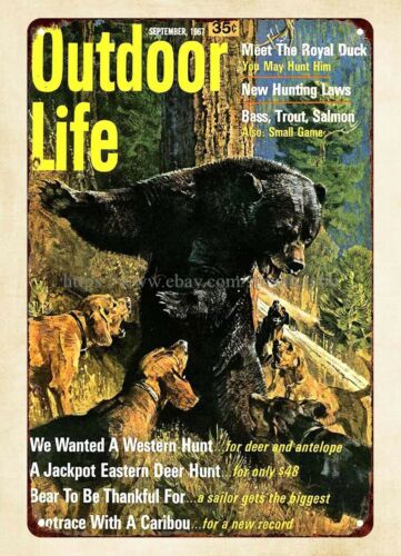 Hunting Dog Outdoor - オフィスの壁飾り 1967 アウトドアライフ クマ狩り犬 メタルティンサイン