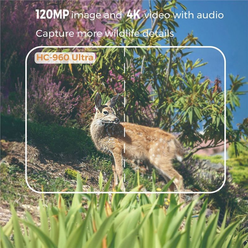 FEDI-防水120MP 4G屋外4Kライブショー野生動物カ - Hunting Outdoor Camera のレビューと価格