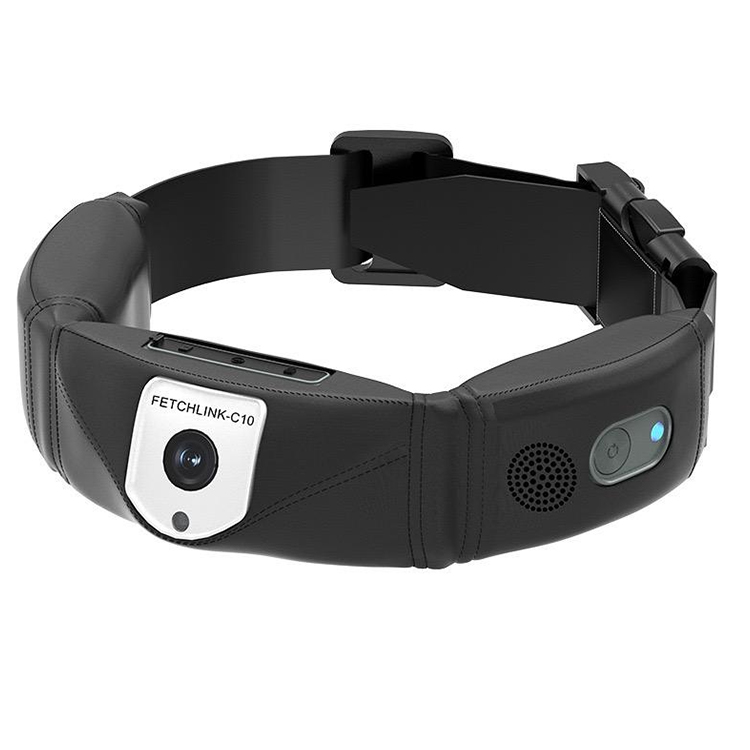 高精度犬用GPSトラッカー首輪、アプリ制御、リアルタイム位置 - Outdoor Hunting Dog Collar のレビューと価格