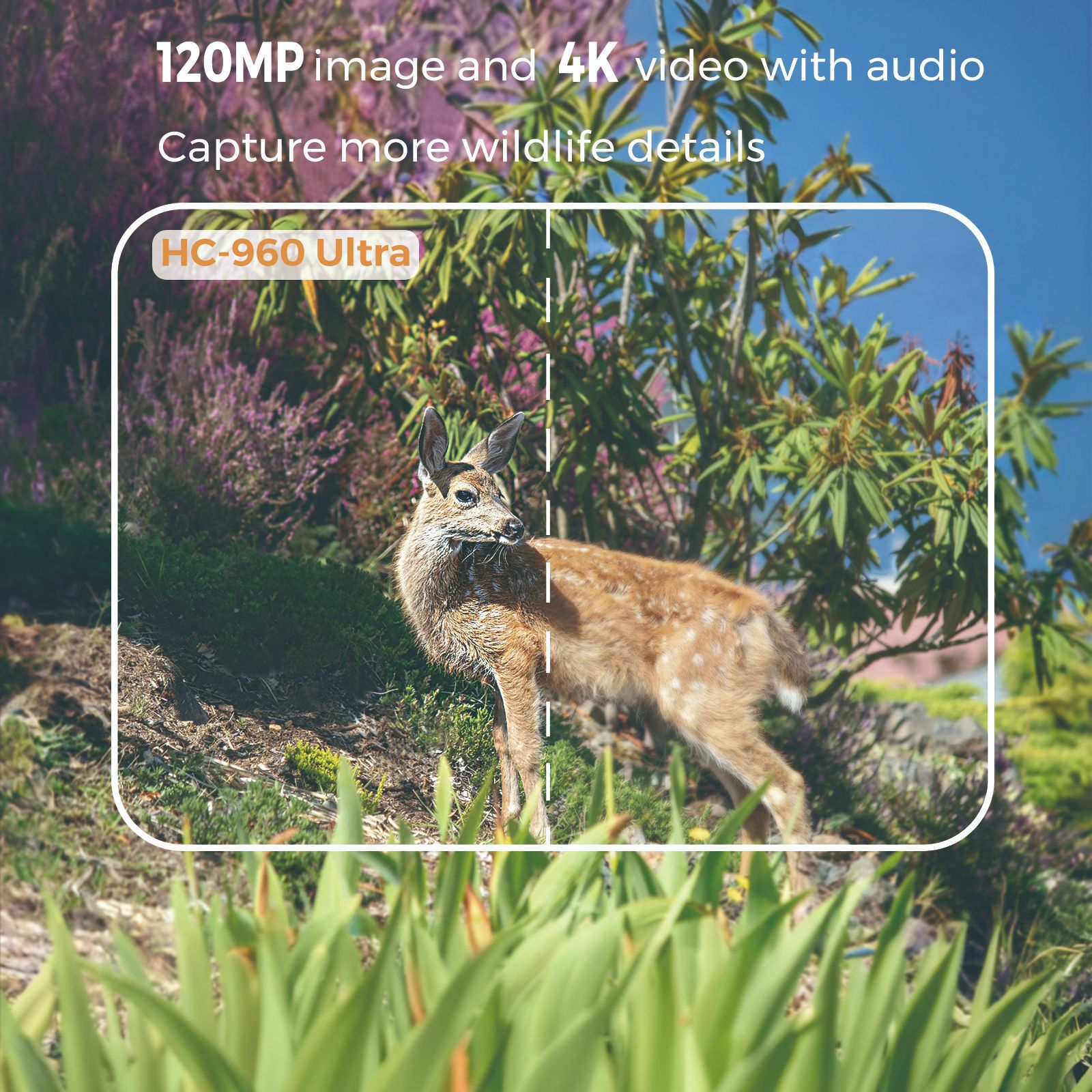 屋外4Kビデオ120MP写真4Gアプリ対応携帯電話野生動物赤 - Hunting Outdoor Camera のレビューと価格