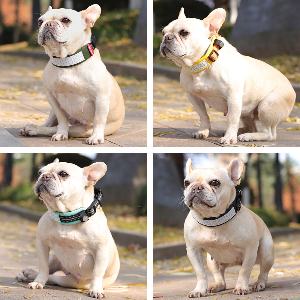 大型犬用反射機能付き犬用首輪、調節可能で窒息防止、安全なネッ - Outdoor Hunting Dog Collar のレビューと価格