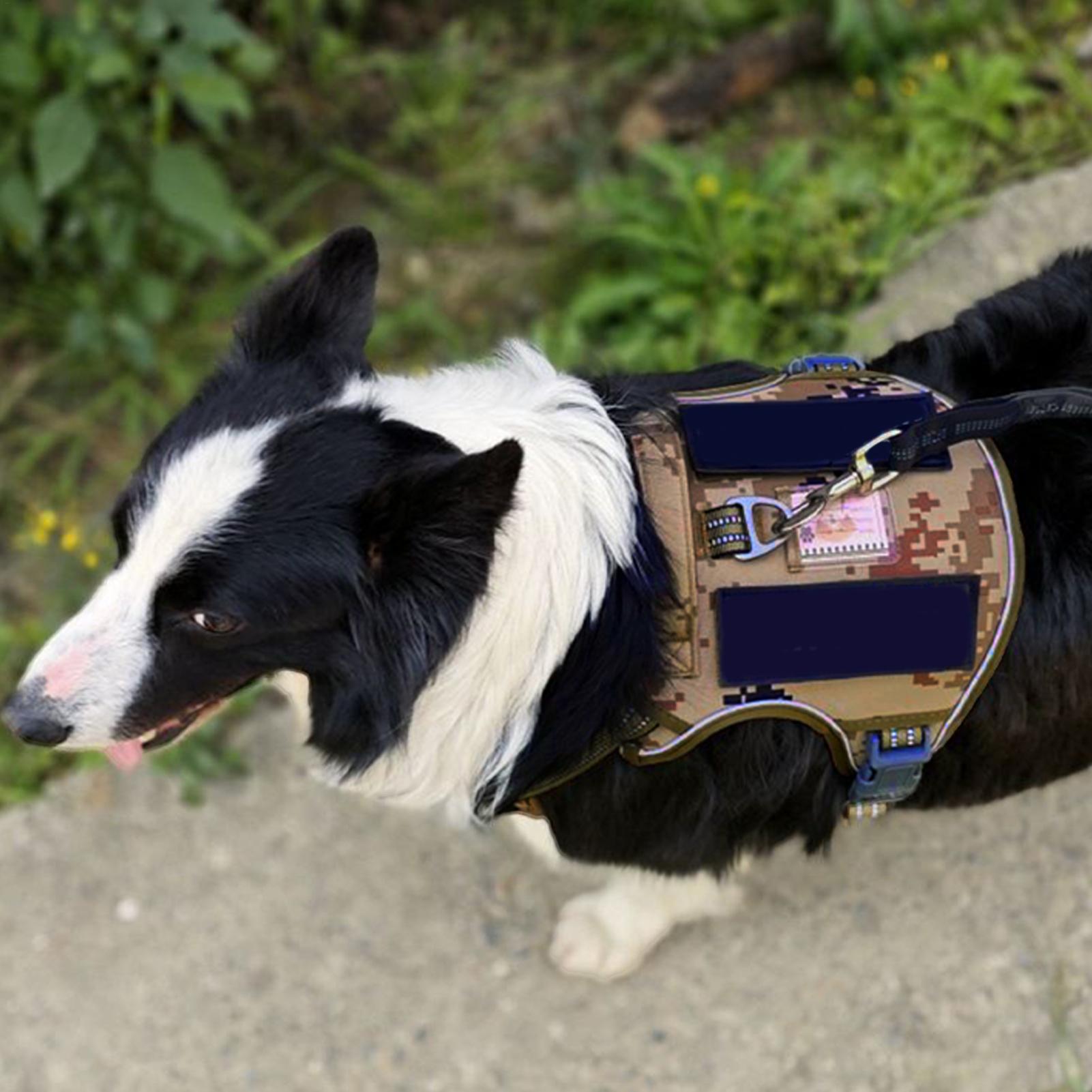 犬用ハーネス メタルバックル 犬の訓練用ハーネス ベスト 調 - Outdoor Hunting Dog Collar のレビューと価格