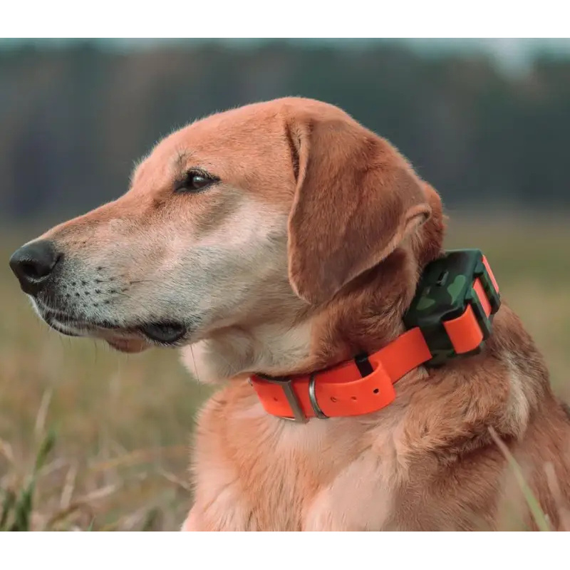 ICAR IK122M 2000mah 首輪型4G GPSト - Outdoor Hunting Dog Collar のレビューと価格