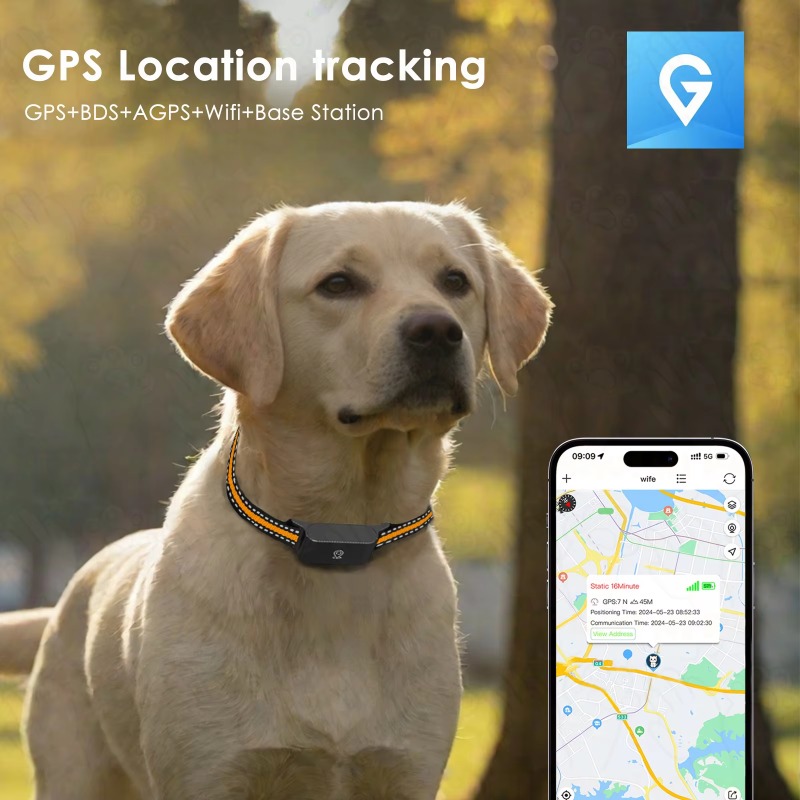 犬用GPSトラッカー アウトドア キャンプ 狩猟 ペット用紛 - Hunting Dog Outdoor のレビューと価格
