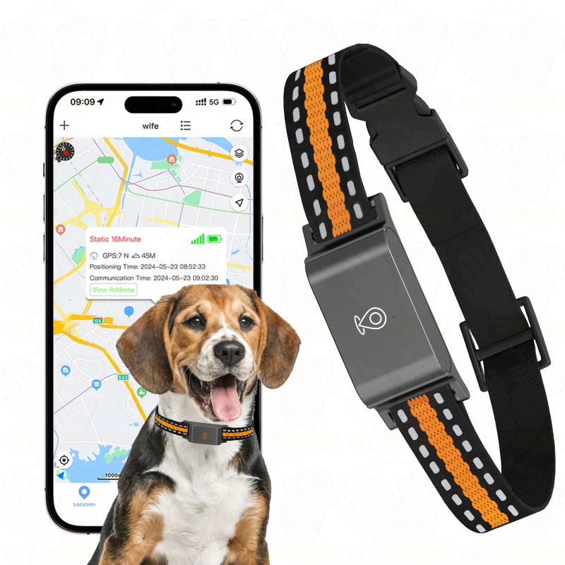 犬用GPSトラッカー アウトドア キャンプ 狩猟 ペット用紛 - Hunting Dog Outdoor のレビューと価格